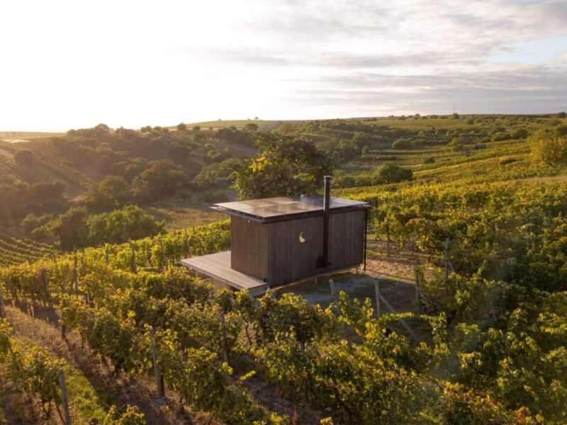 Tiny house Ve vinohradu